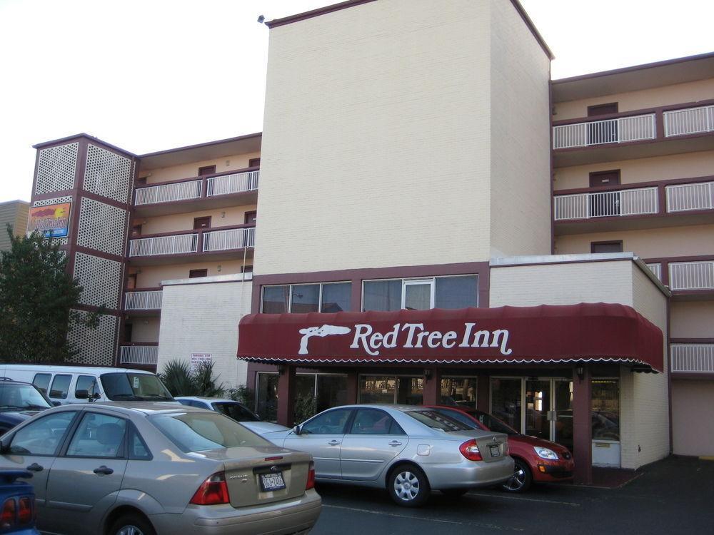 Oasis Hotel North Myrtle Beach Exterior photo